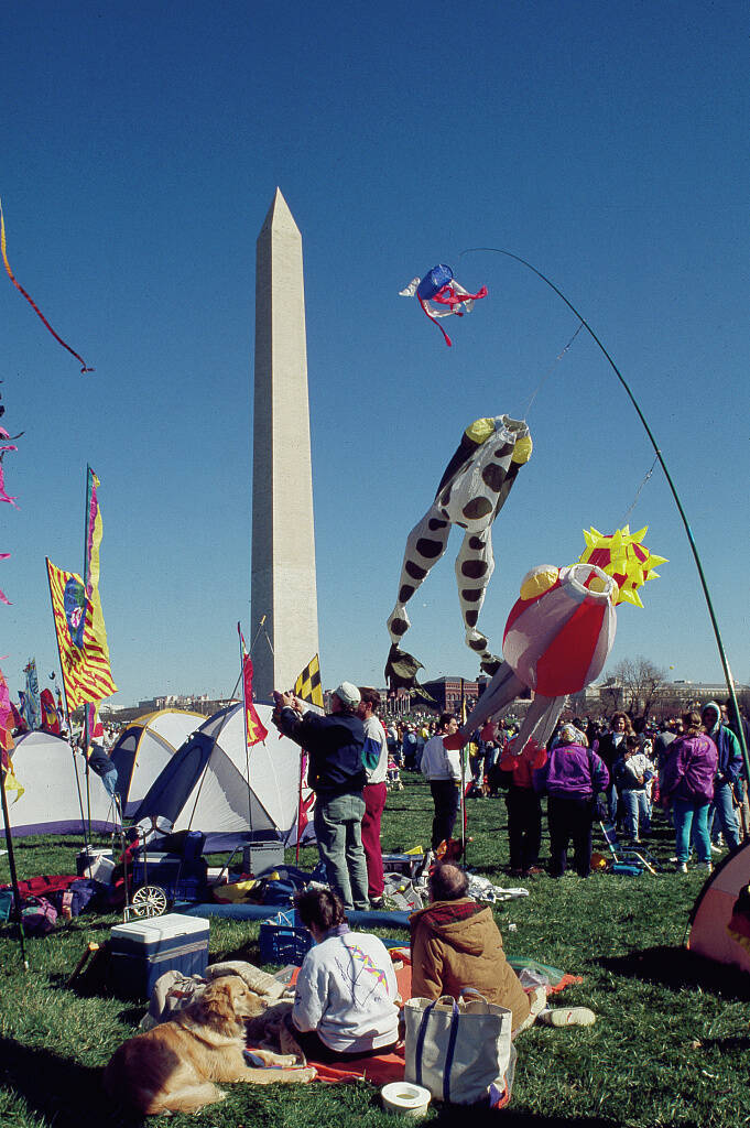 Corner of the Month: Kites in Shapes