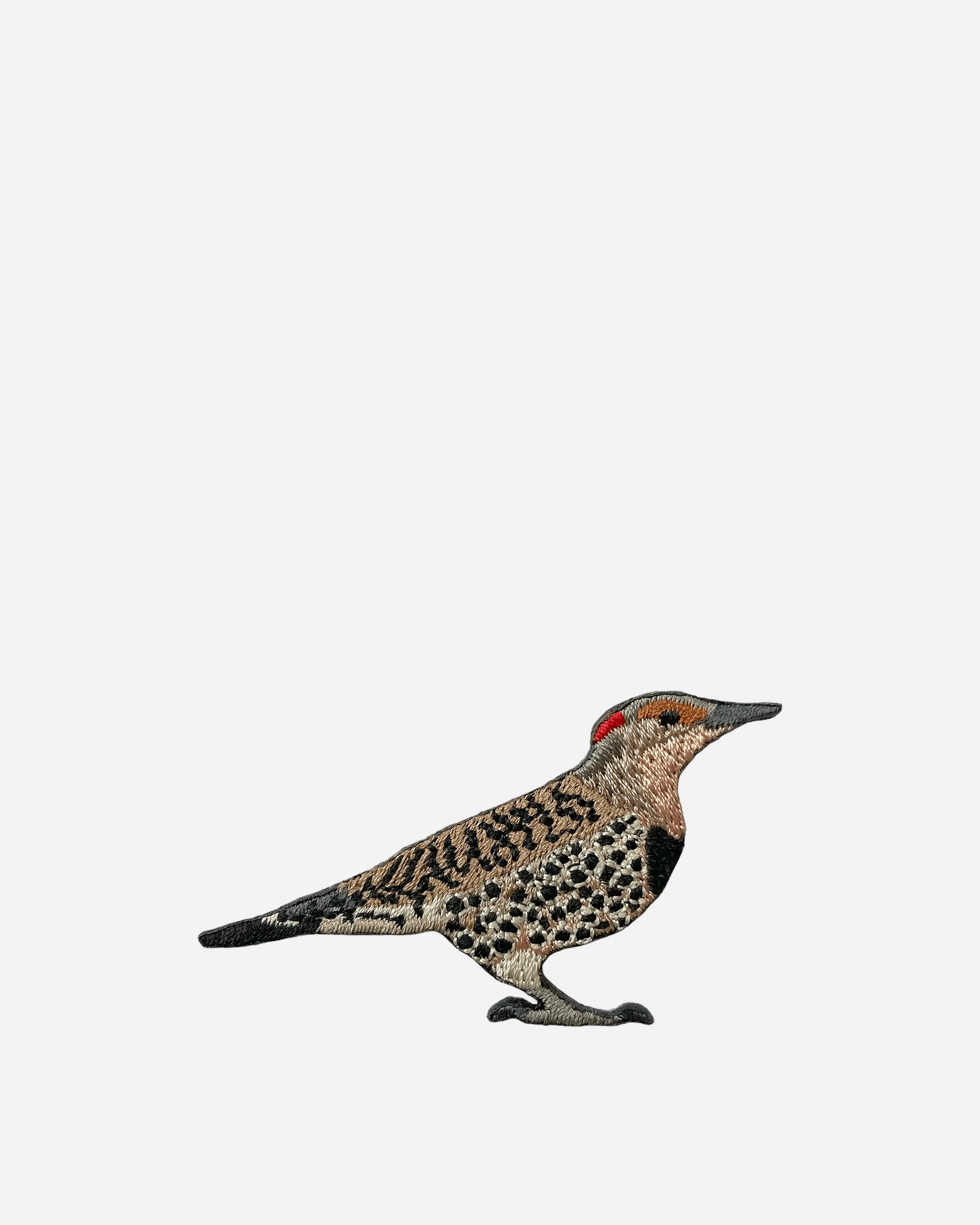 A photo of Northern Flicker patch
