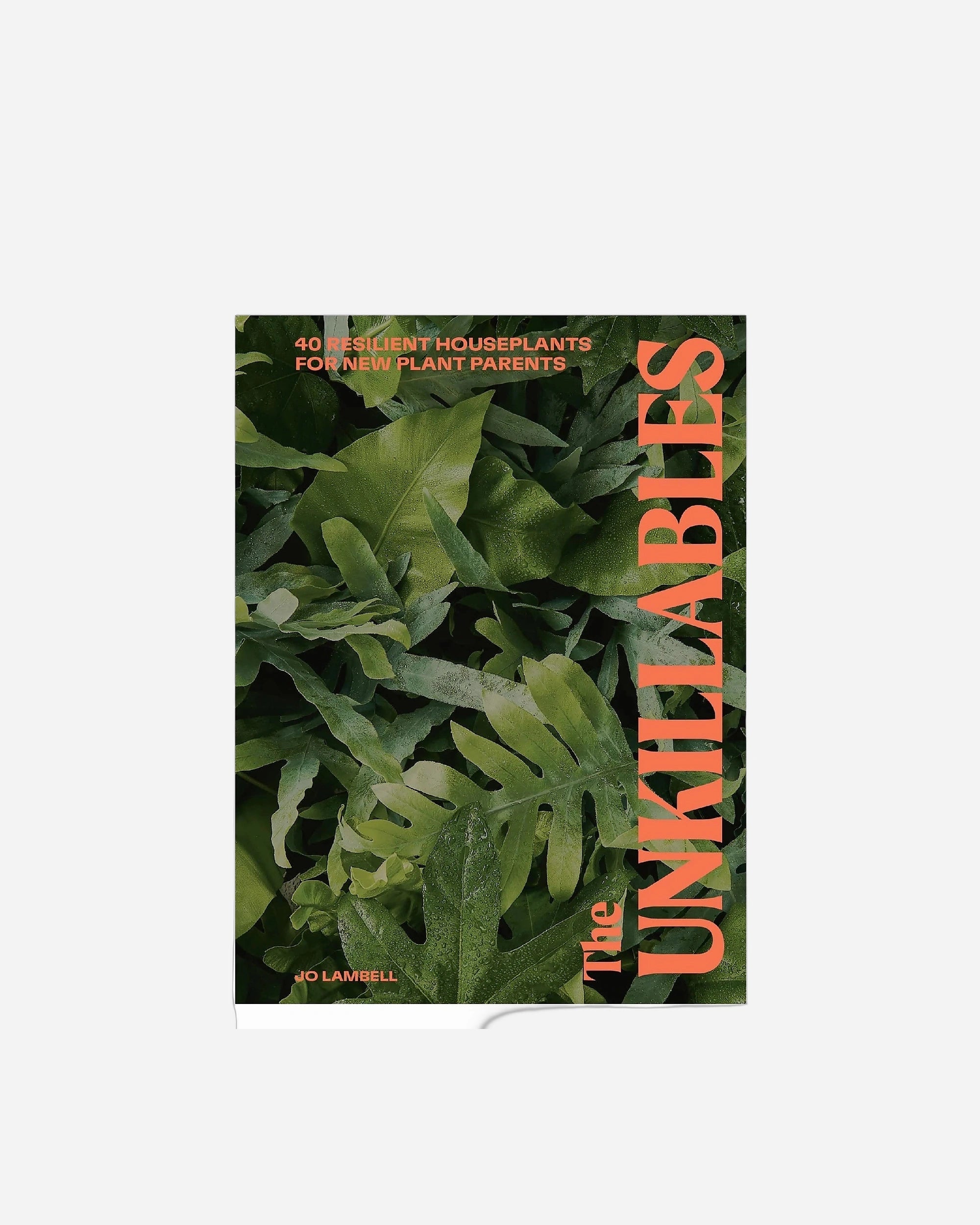 A photo of The Unkillables: 40 resilient house plants for new plant parents