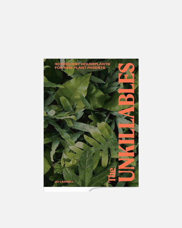 A photo of The Unkillables: 40 resilient house plants for new plant parents