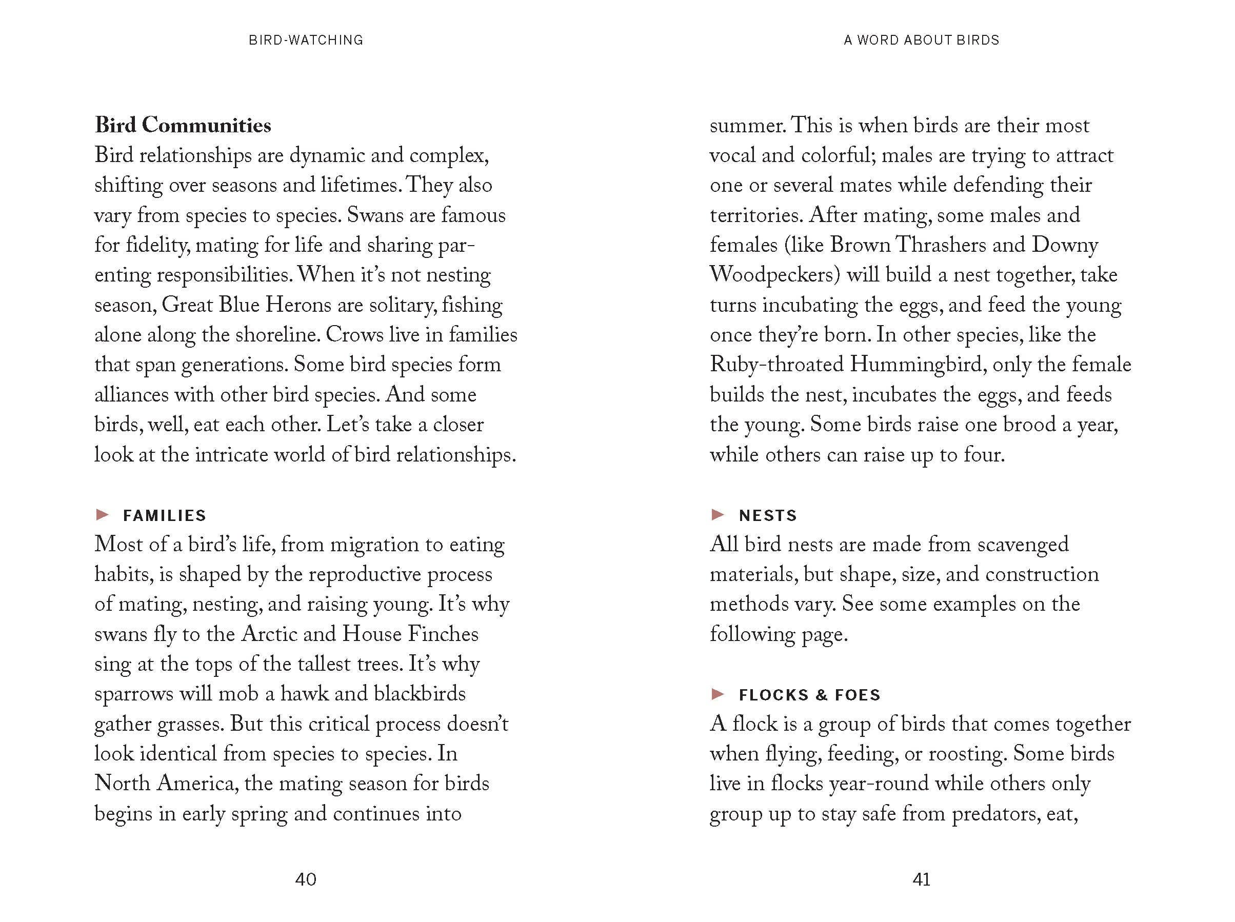 Pocket Nature: Bird-Watching