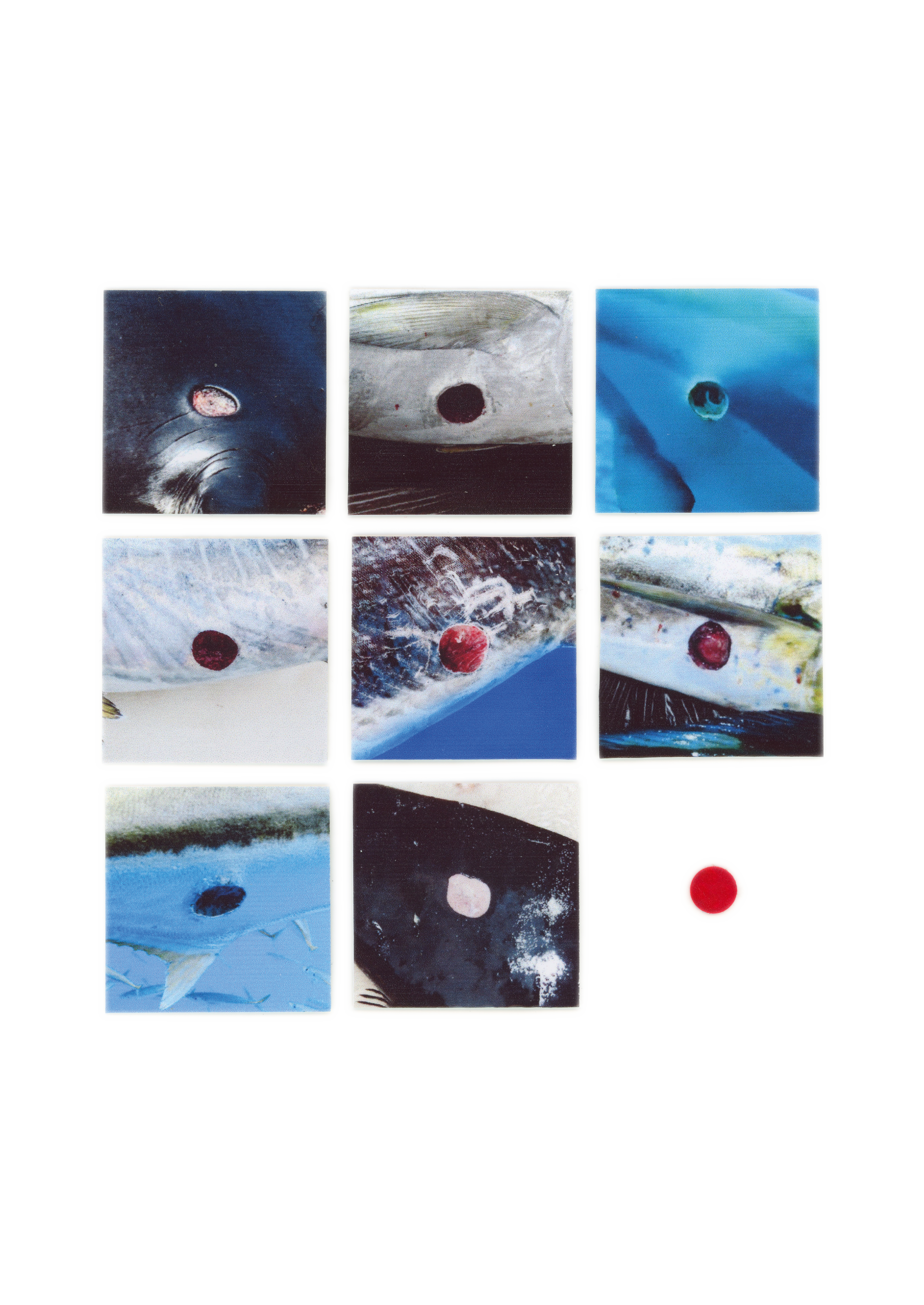 Cake Zine Volume 4: Tough Cookie