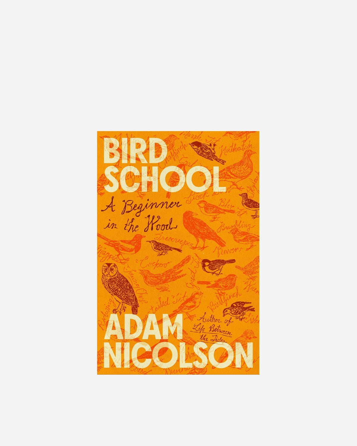 Bird School: A Beginner In The Wood