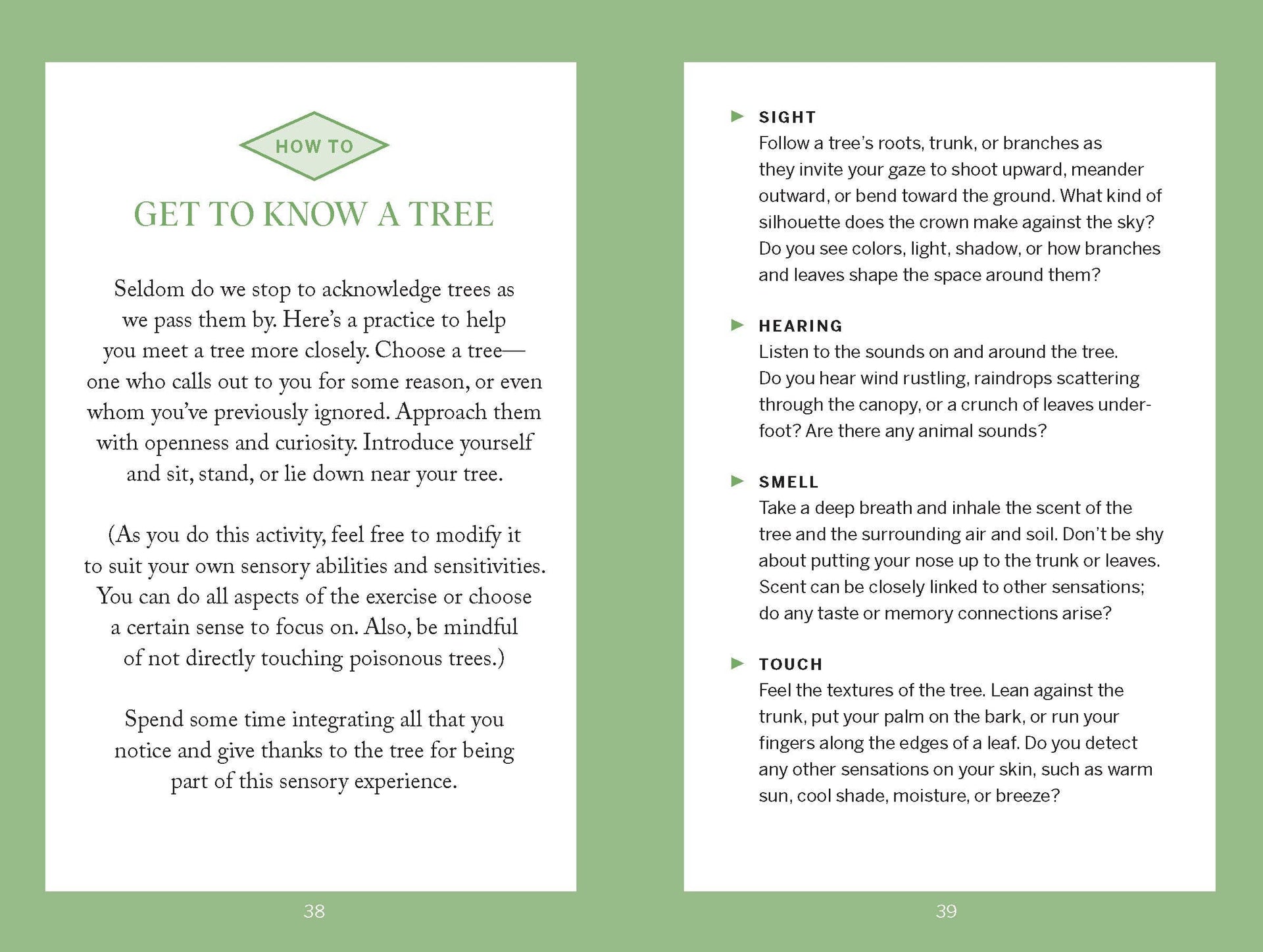 Pocket Nature: Tree Hugging — detail