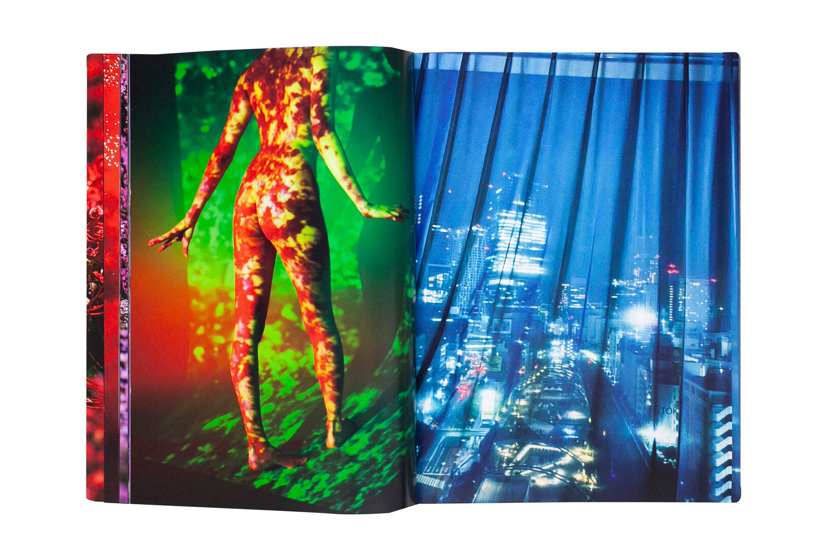 Mika Ninagawa - Eternity in a Moment vol. 2