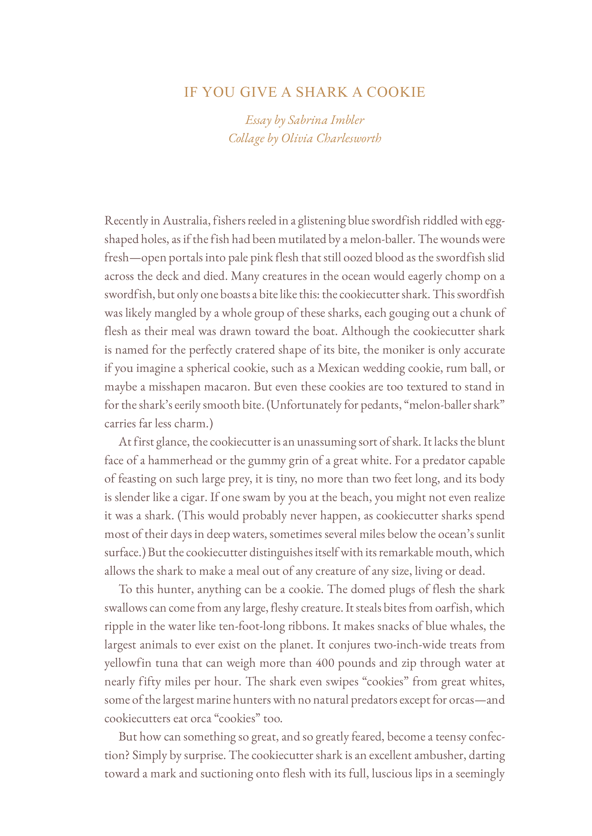 Cake Zine Volume 4: Tough Cookie