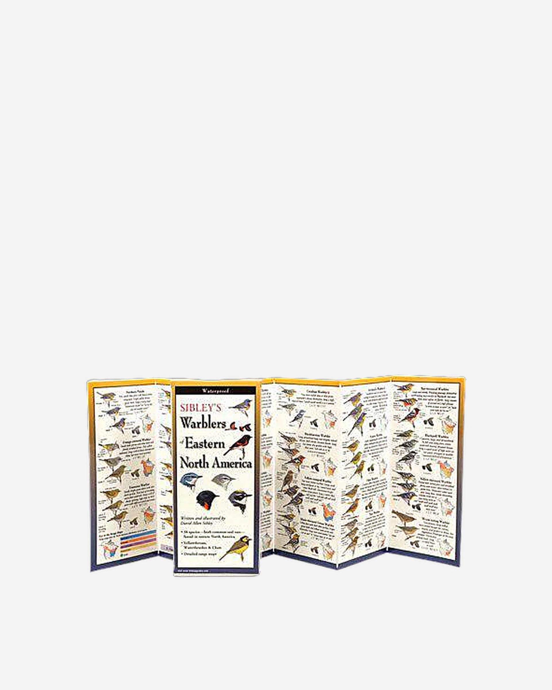 A photo of Sibley's Warblers of Eastern North America