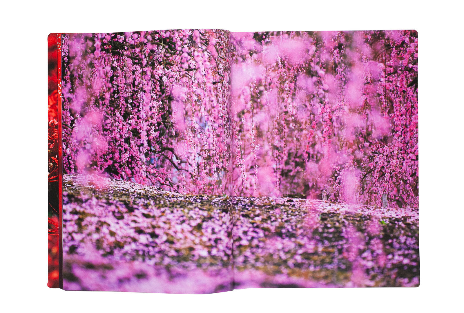Mika Ninagawa - Eternity in a Moment vol. 2