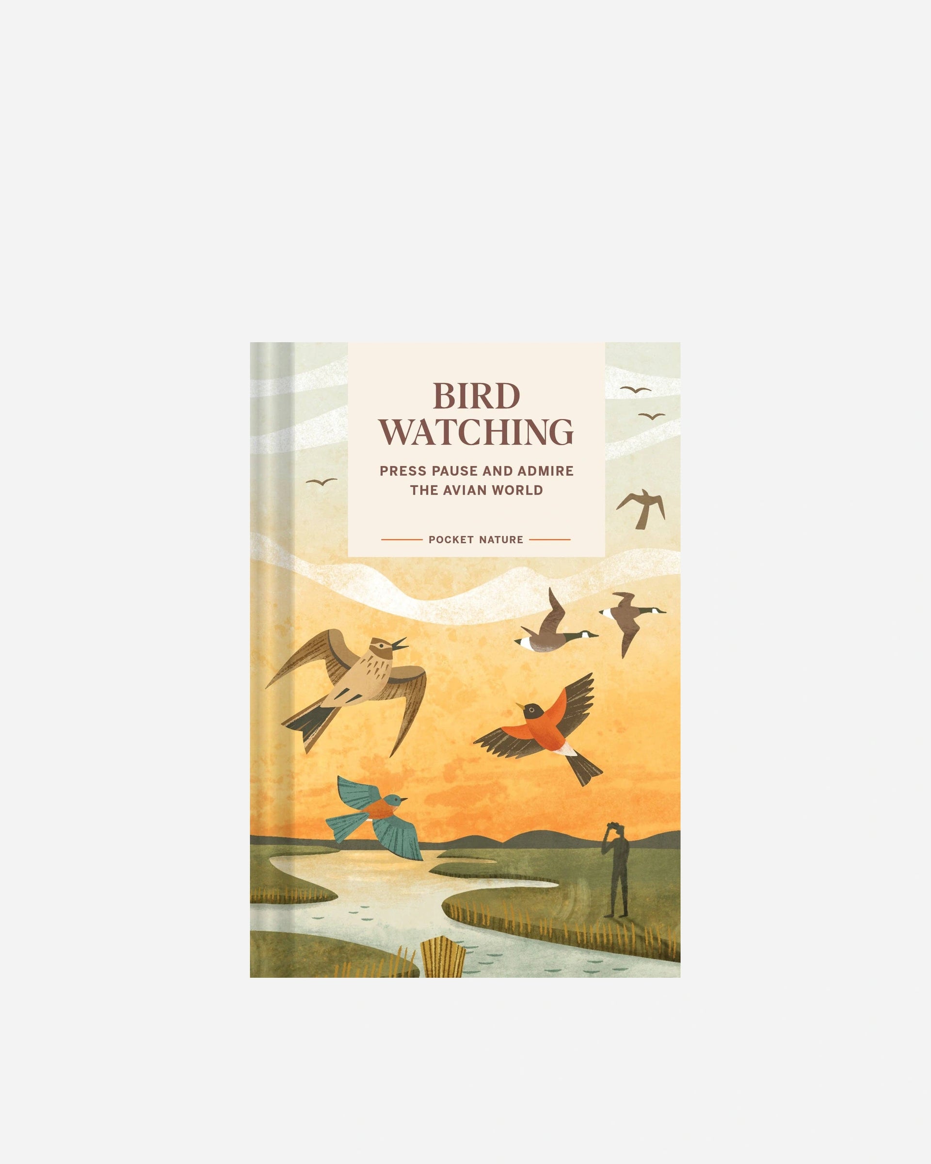 Pocket Nature: Bird-Watching