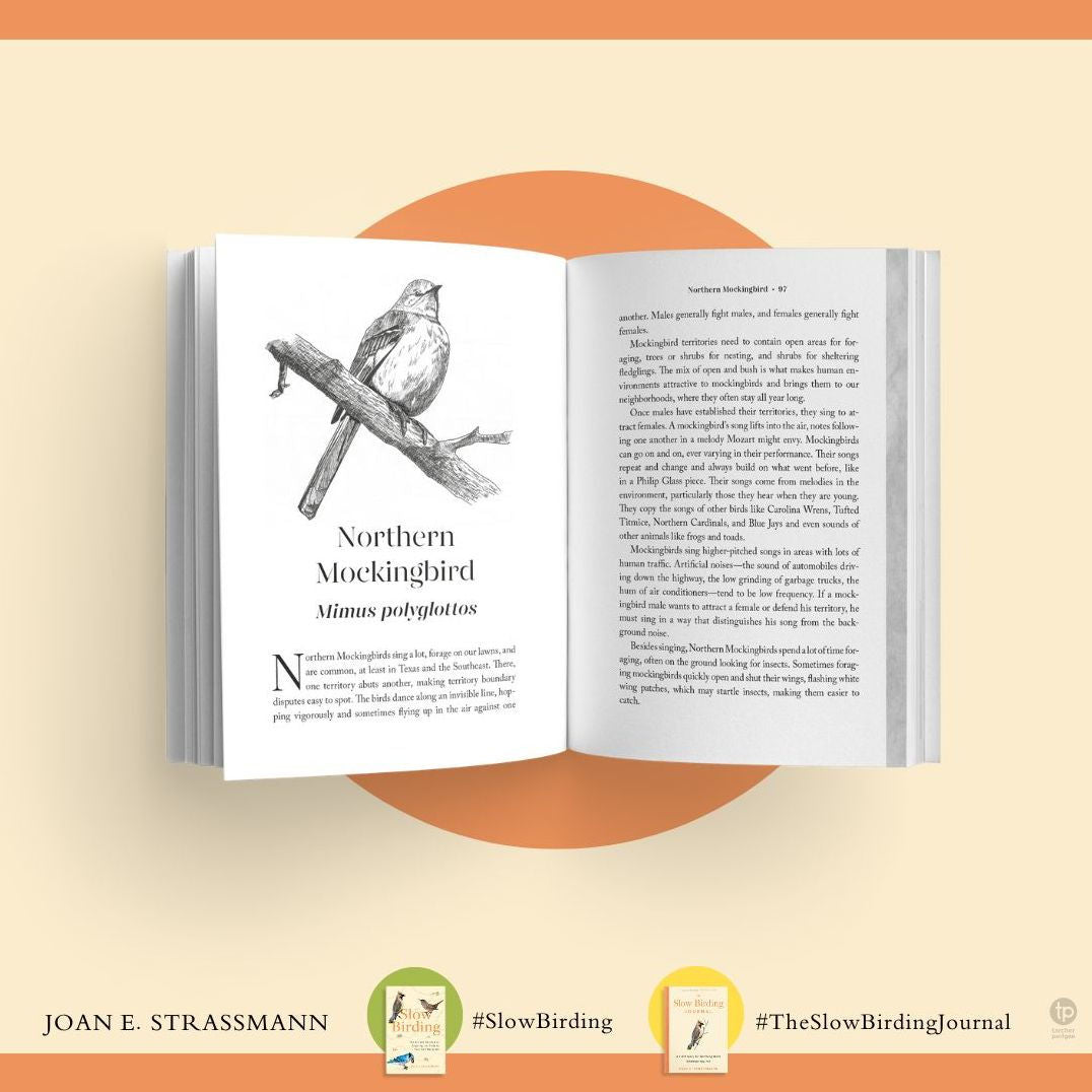The Slow Birding Journal — detail