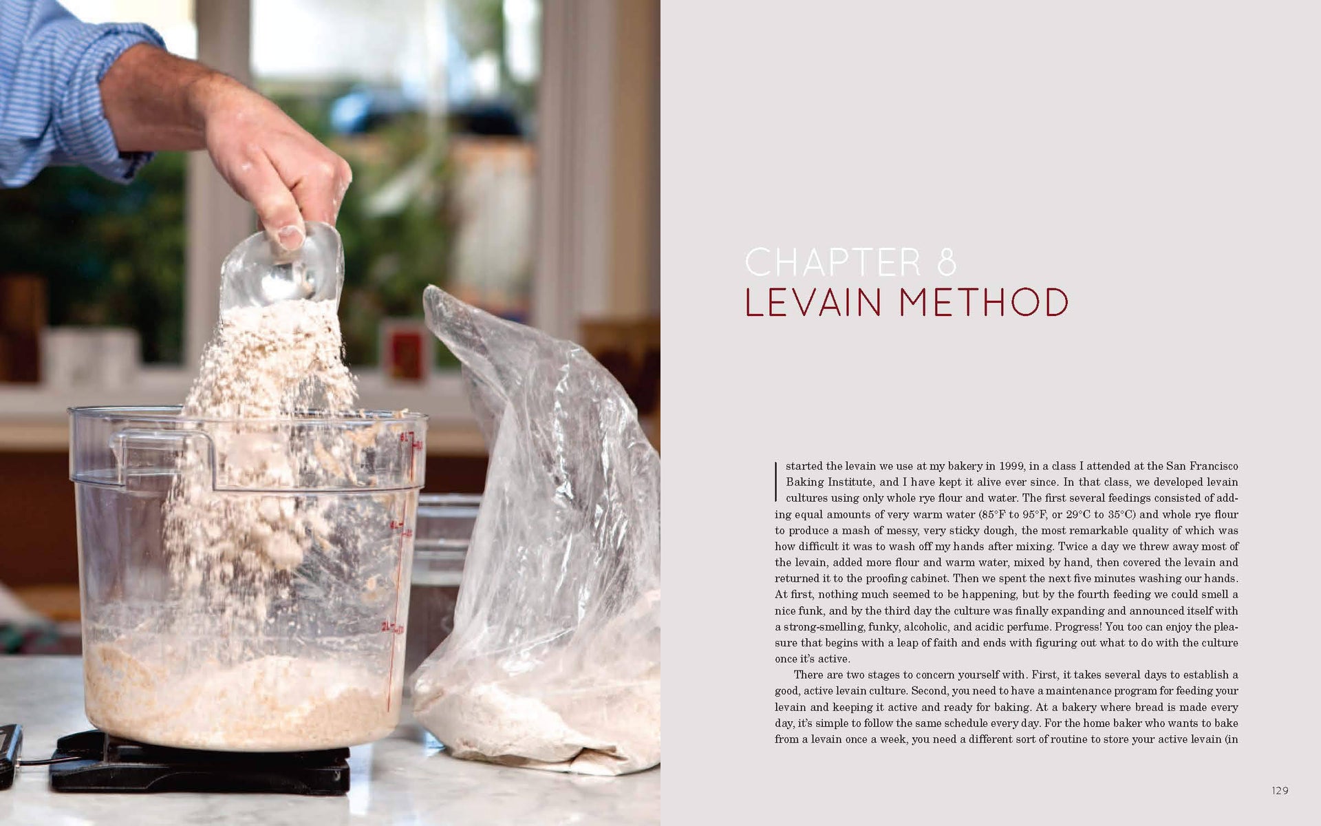 Flour Water Salt Yeast — detail
