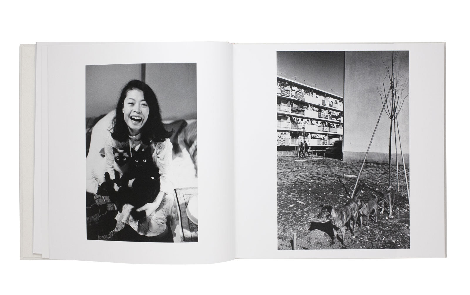 Masahisa Fukase - Yoko - Another Corner