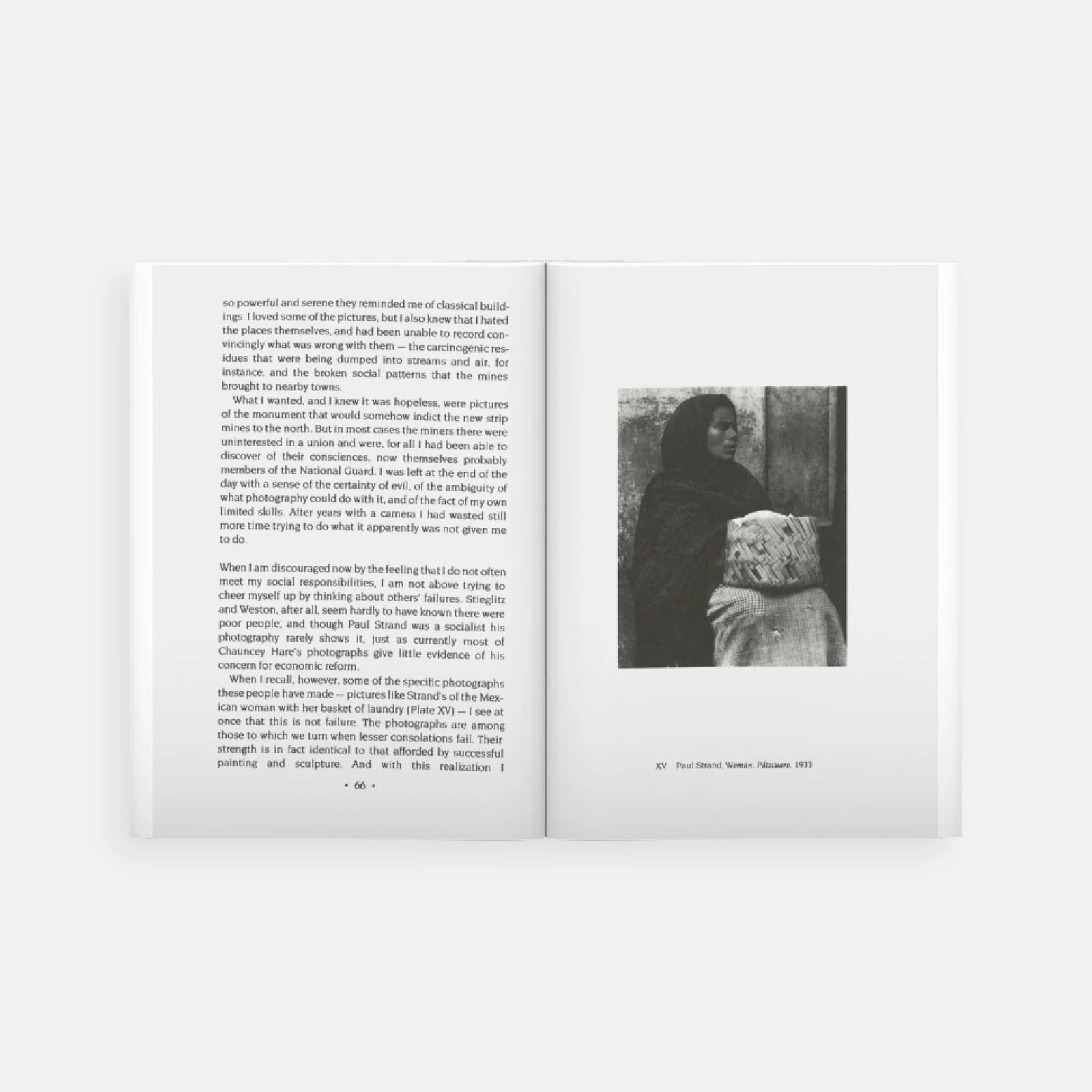 Beauty in Photography: Essays in Defense of Traditional Values
