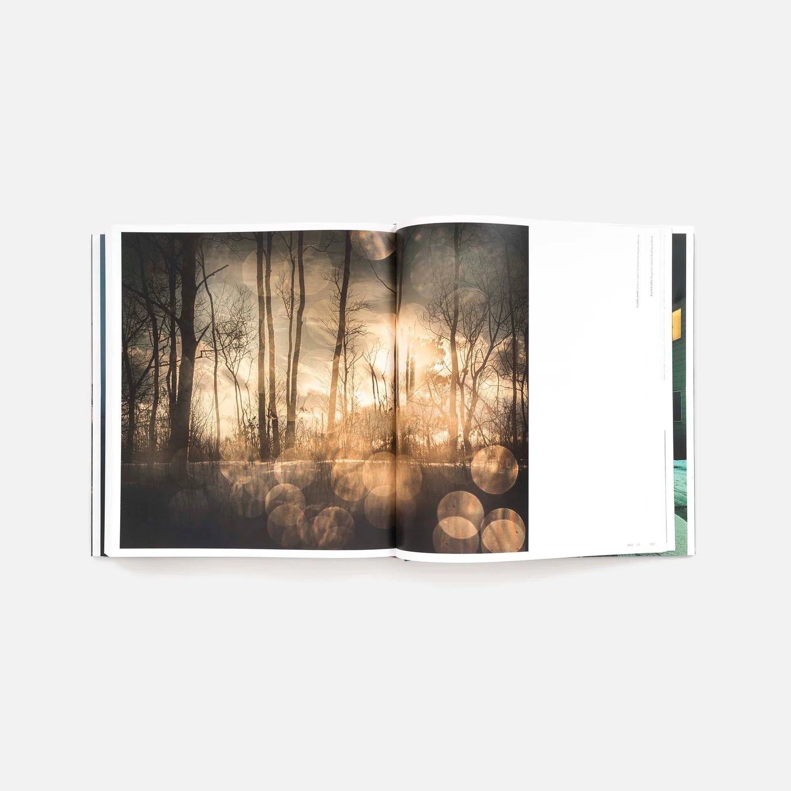 Todd Hido: Intimate Distance
