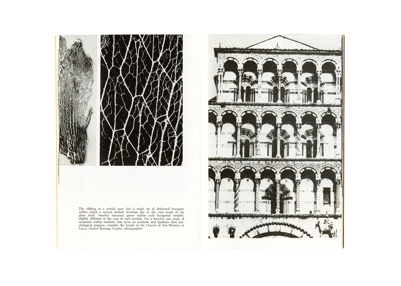 Design and Visual Communication — detail
