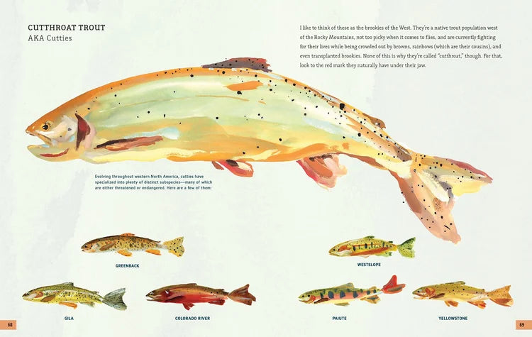 The Fly Fishing Book