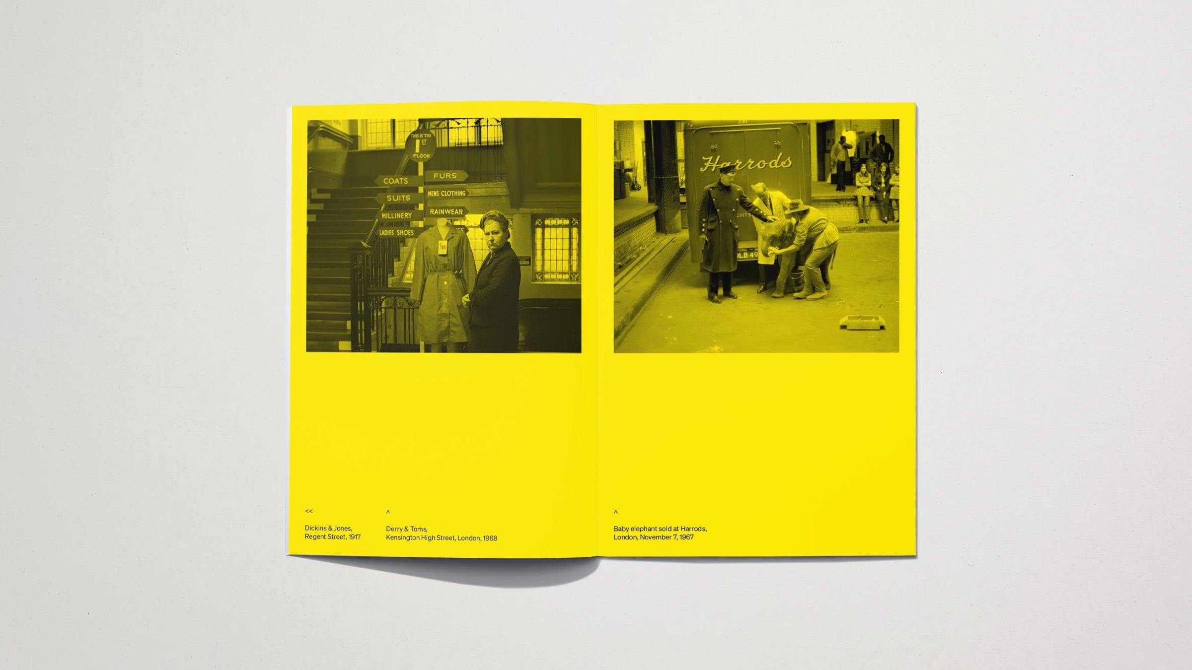 To Have & To Told Vol. 4 Dept. Stores