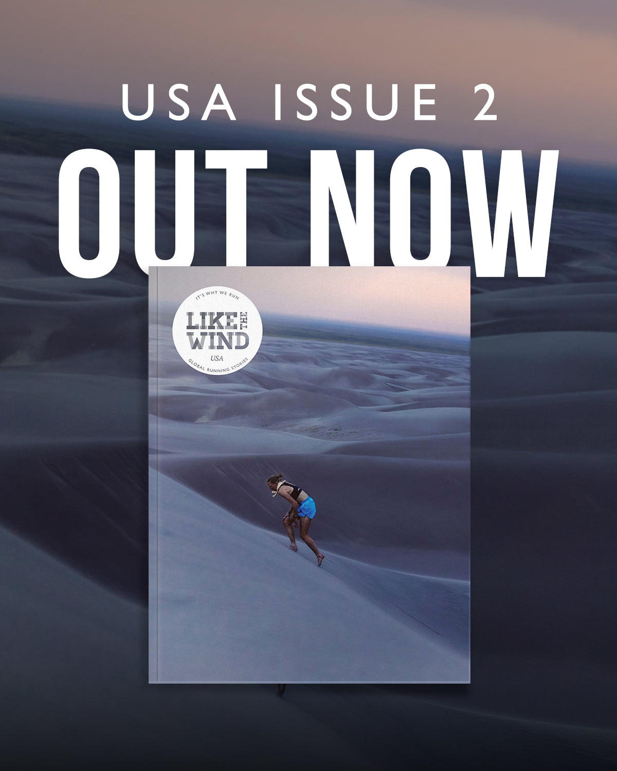 Like the Wind USA #2
