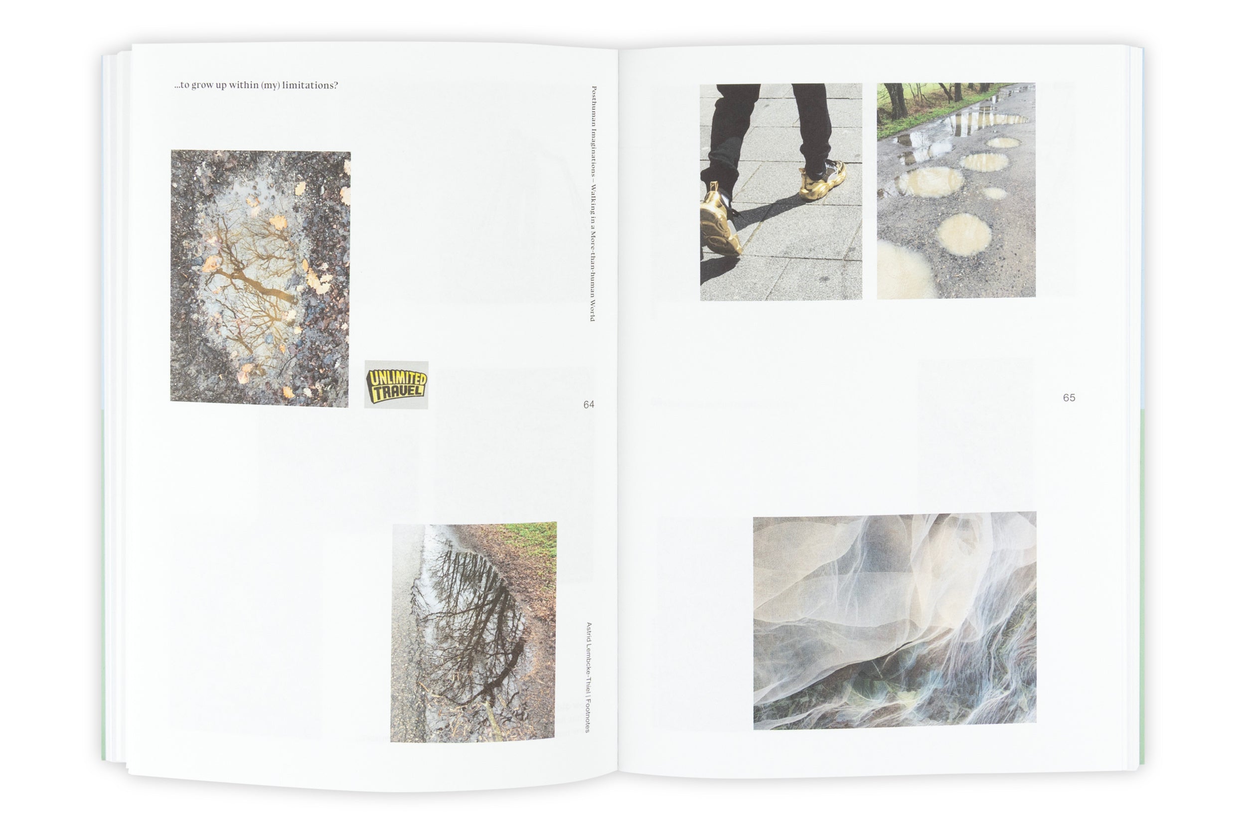 Walking as Embodied Worldmaking