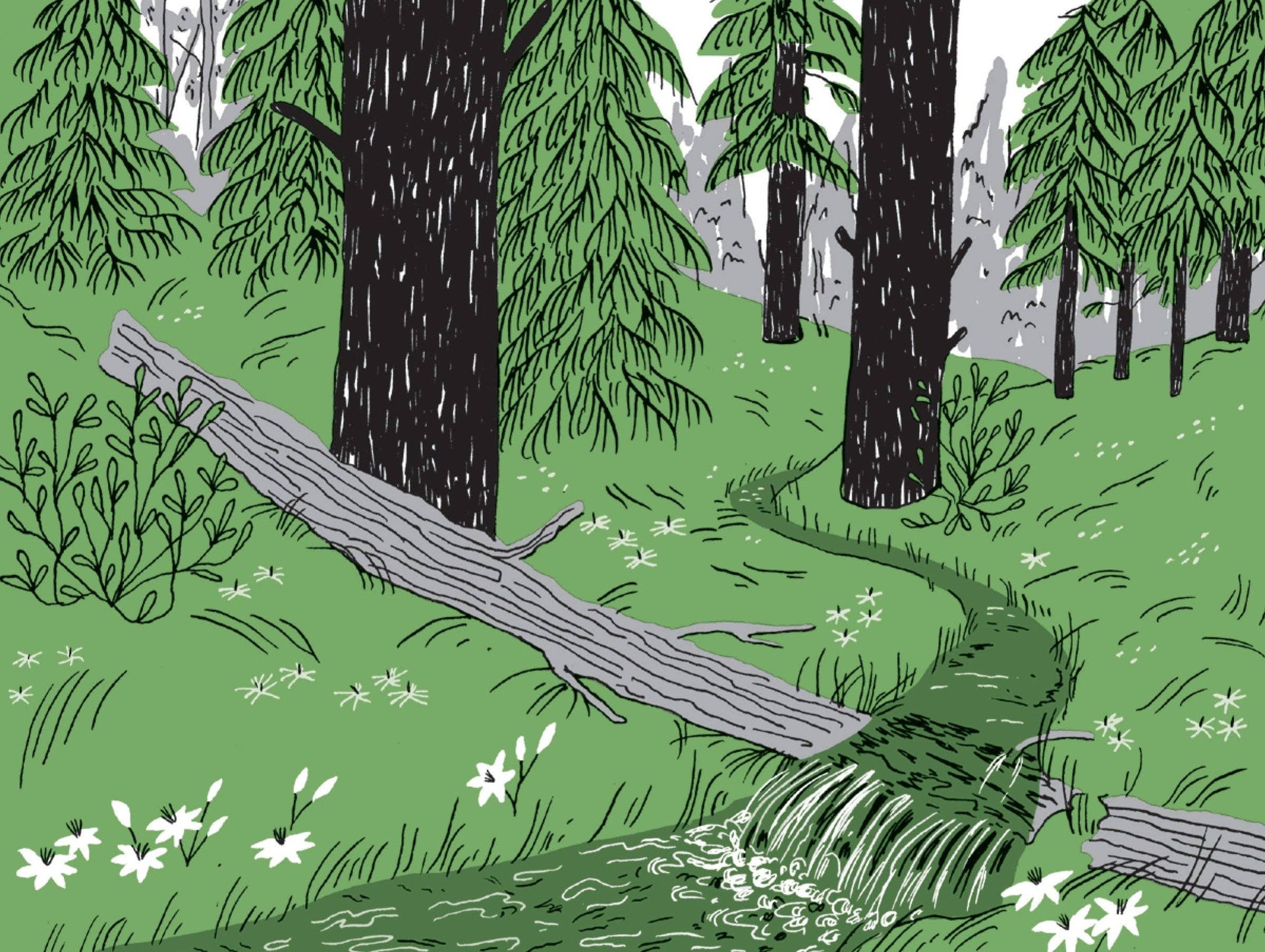 Pocket Nature: Tree Hugging — detail