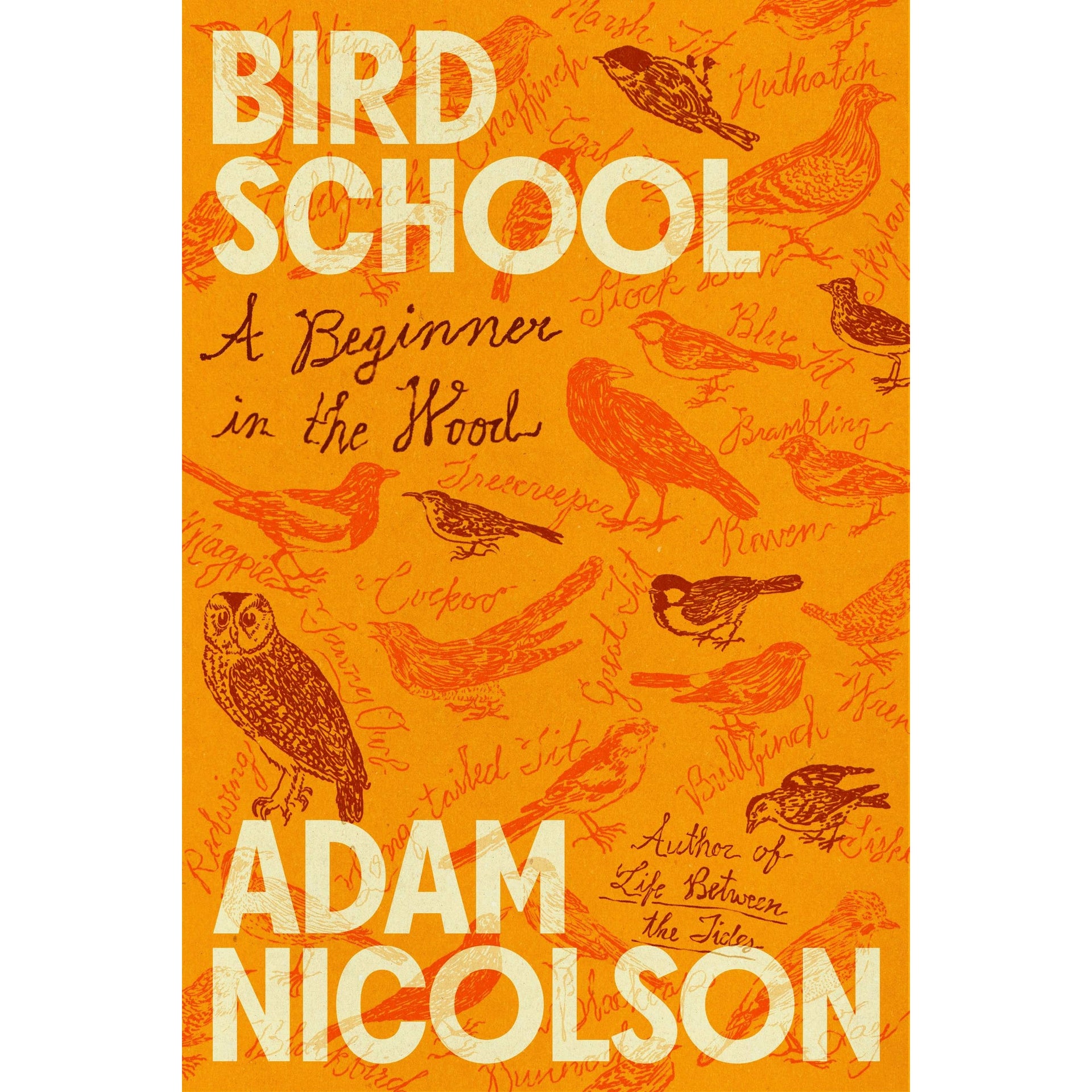 Bird School: A Beginner In The Wood