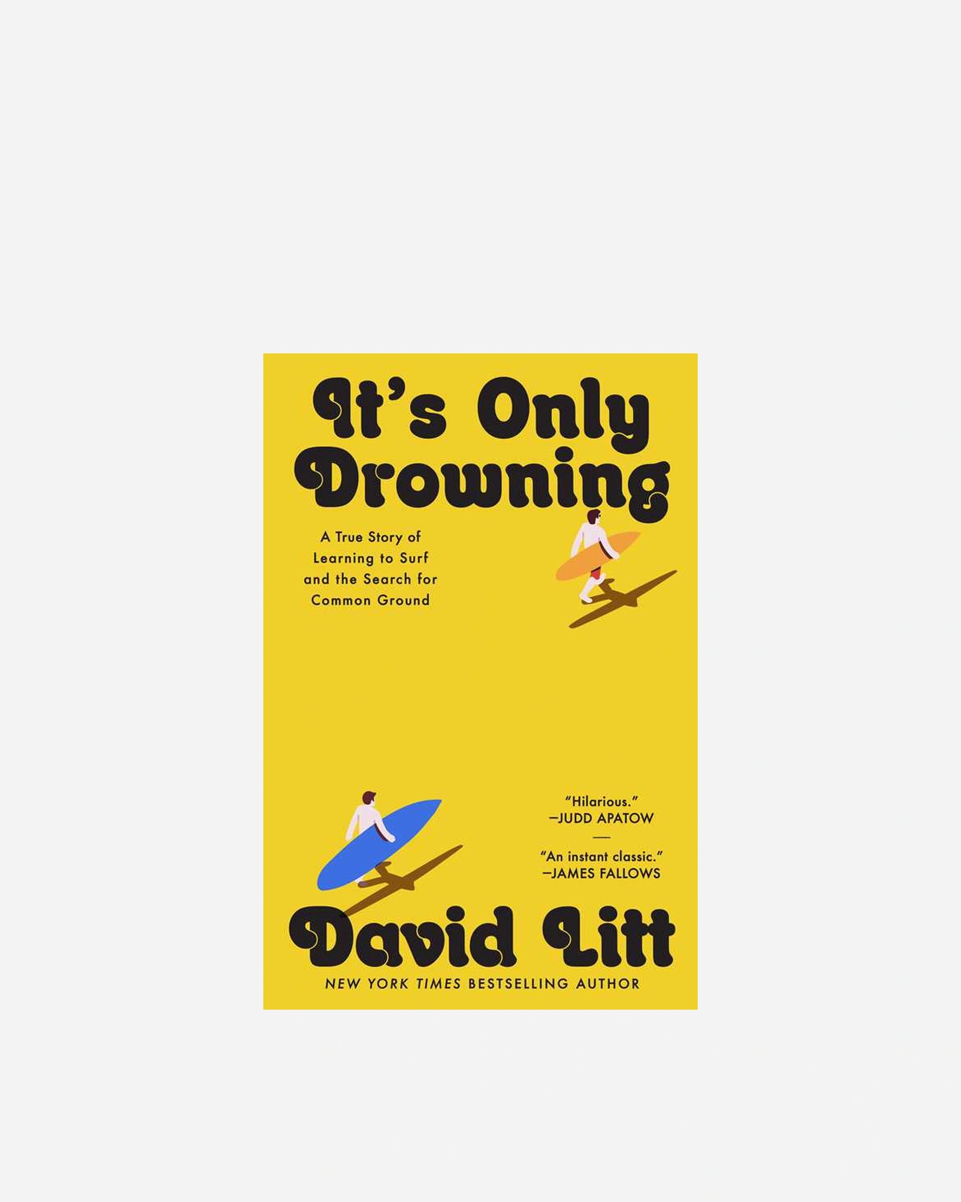 It's Only Drowning By David Litt