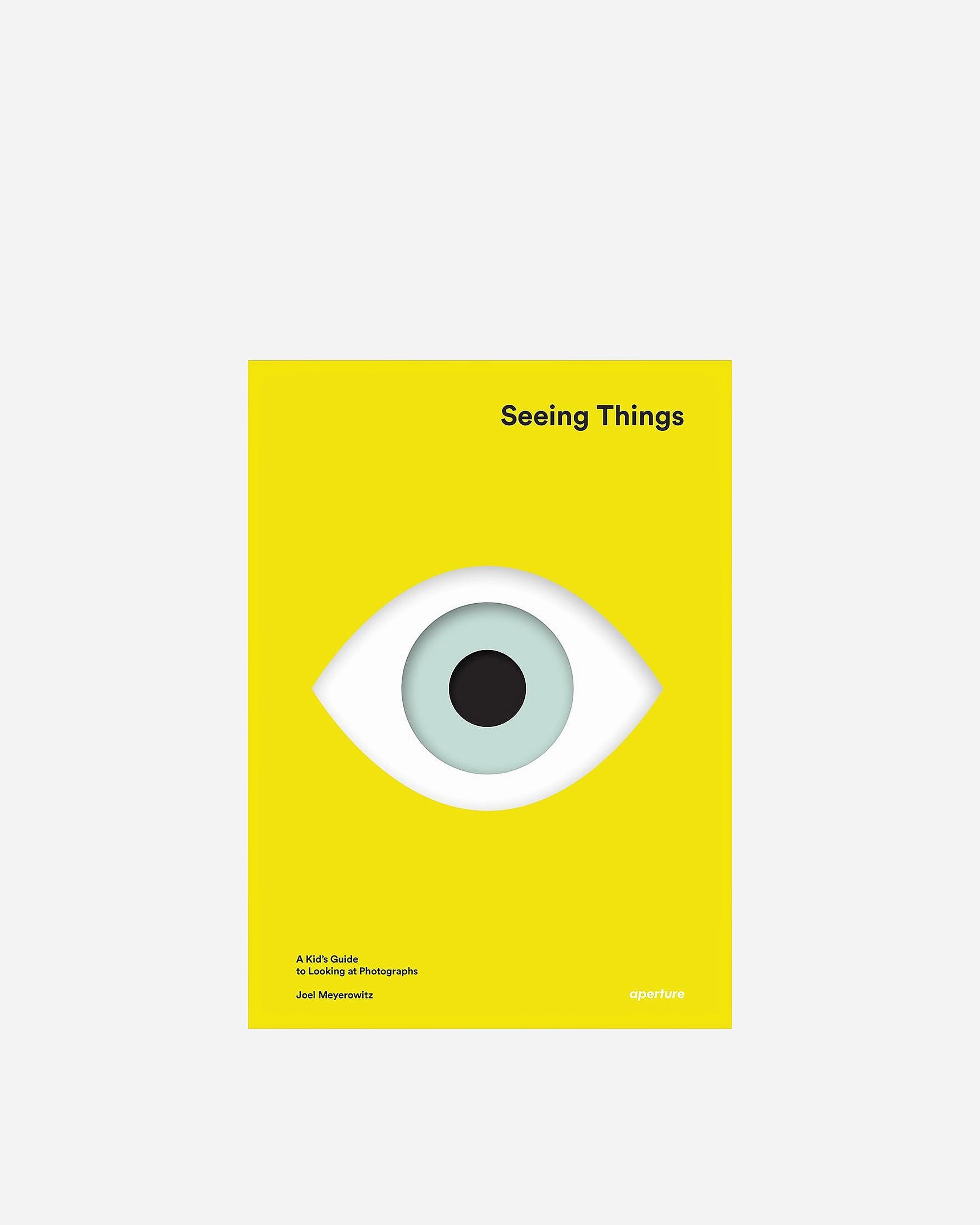 A photo of Seeing Things: A Kid's Guide to Looking at Photographs