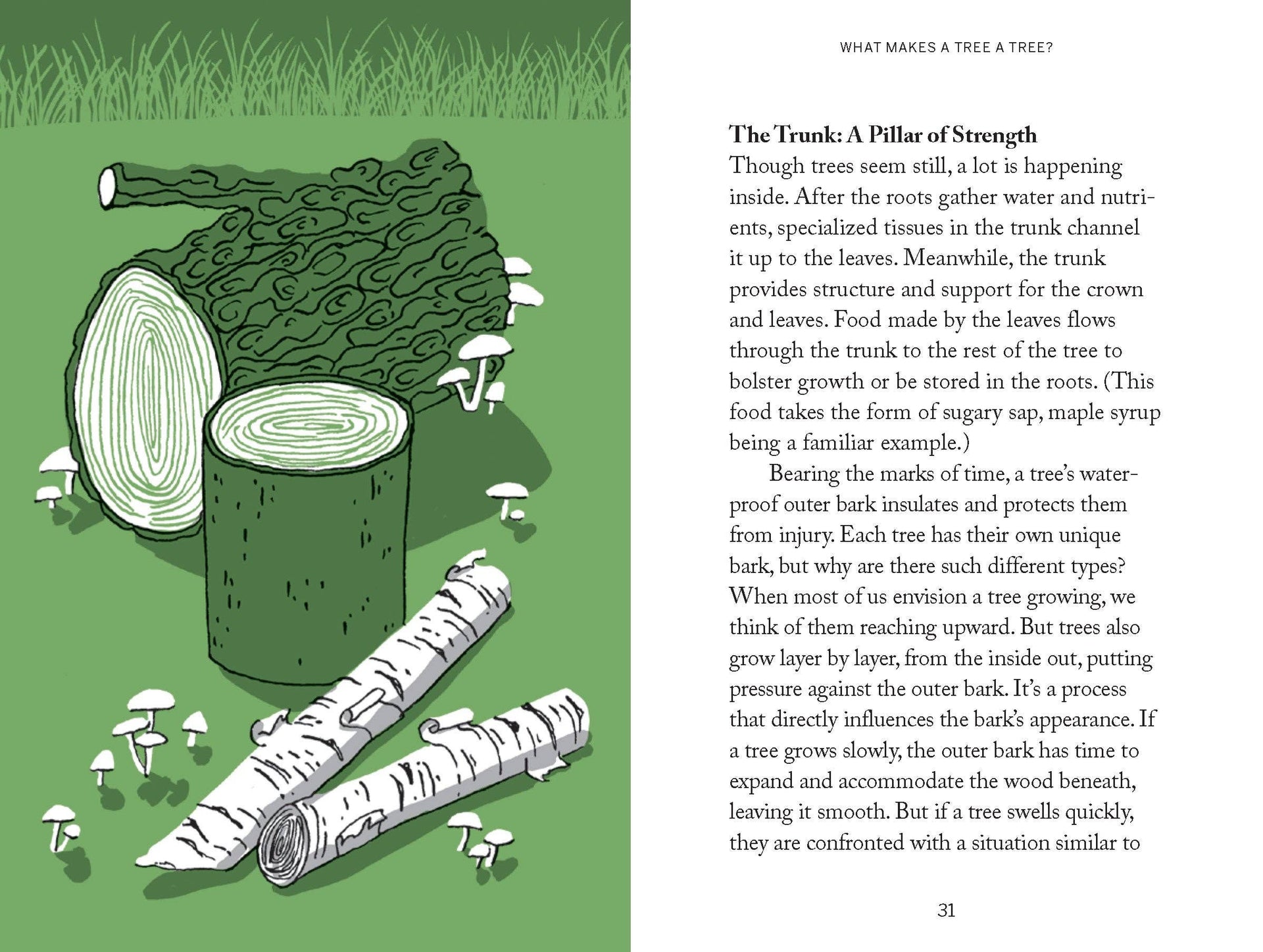 Pocket Nature: Tree Hugging — detail