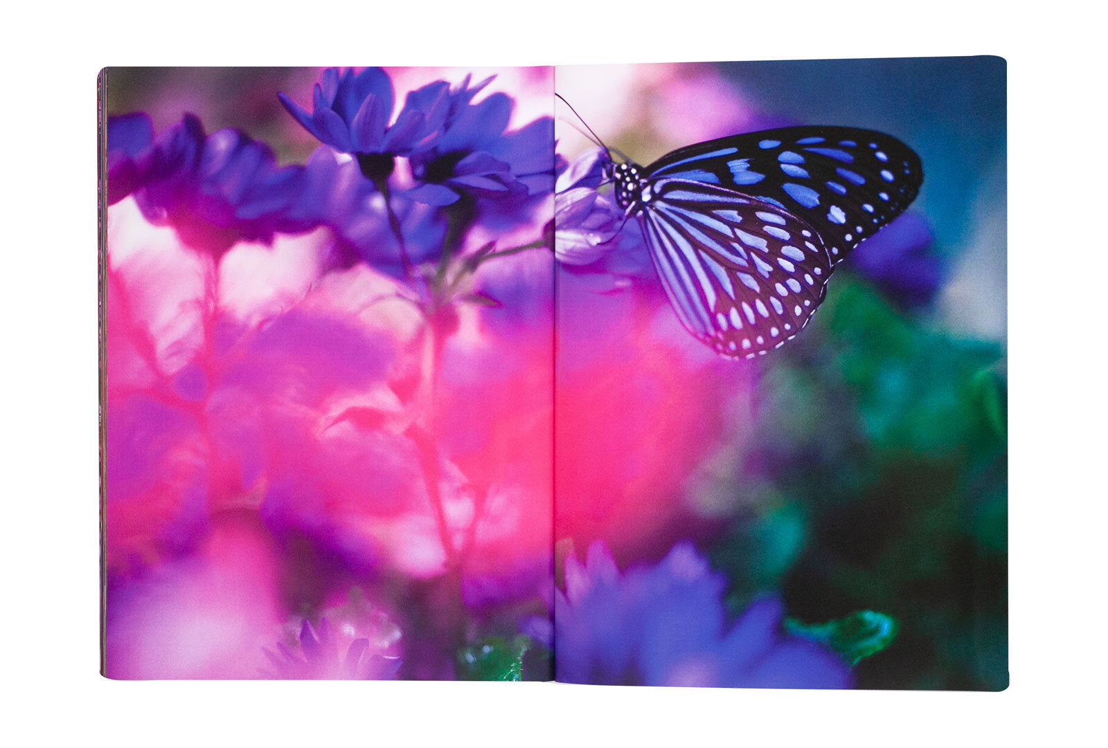 Mika Ninagawa - Eternity in a Moment vol. 2