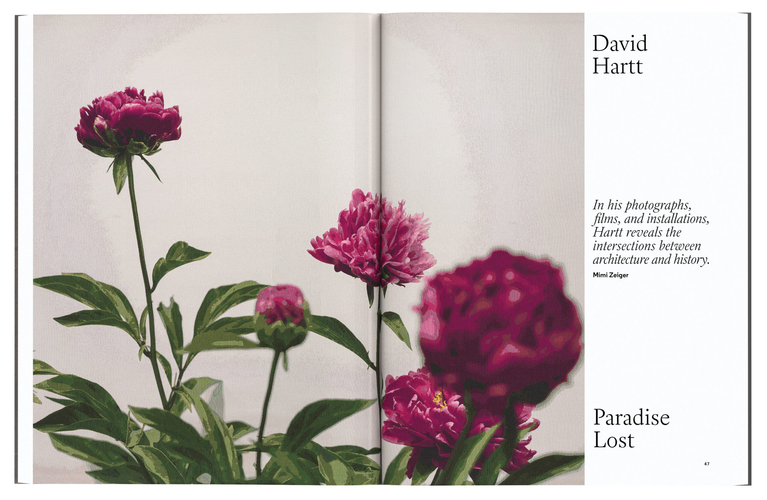 A photo of Design Issue: Aperture No. 255