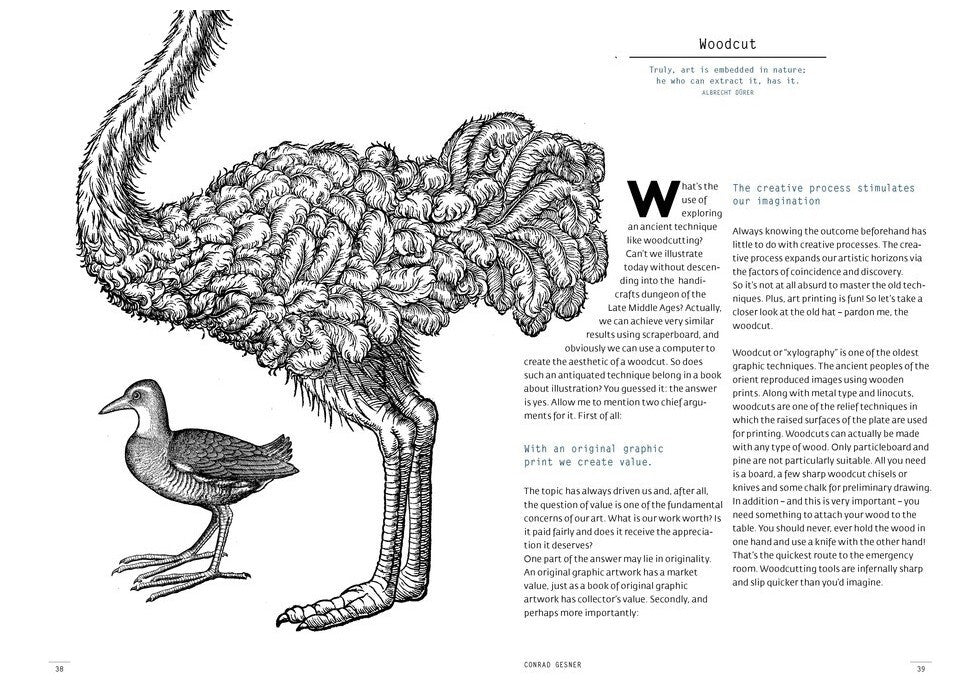 A photo of 100 Ways to Draw a Bird and Make a Living from Illustration