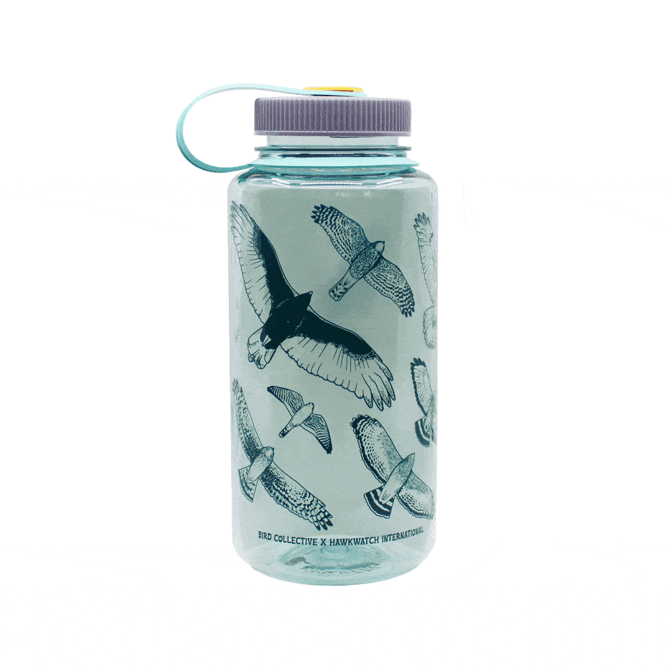 A photo of Hawks in Flight nalgene water bottle