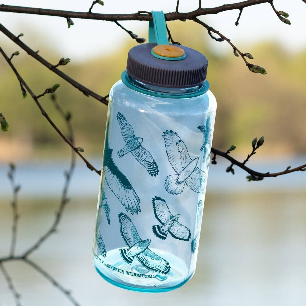 A photo of Hawks in Flight nalgene water bottle