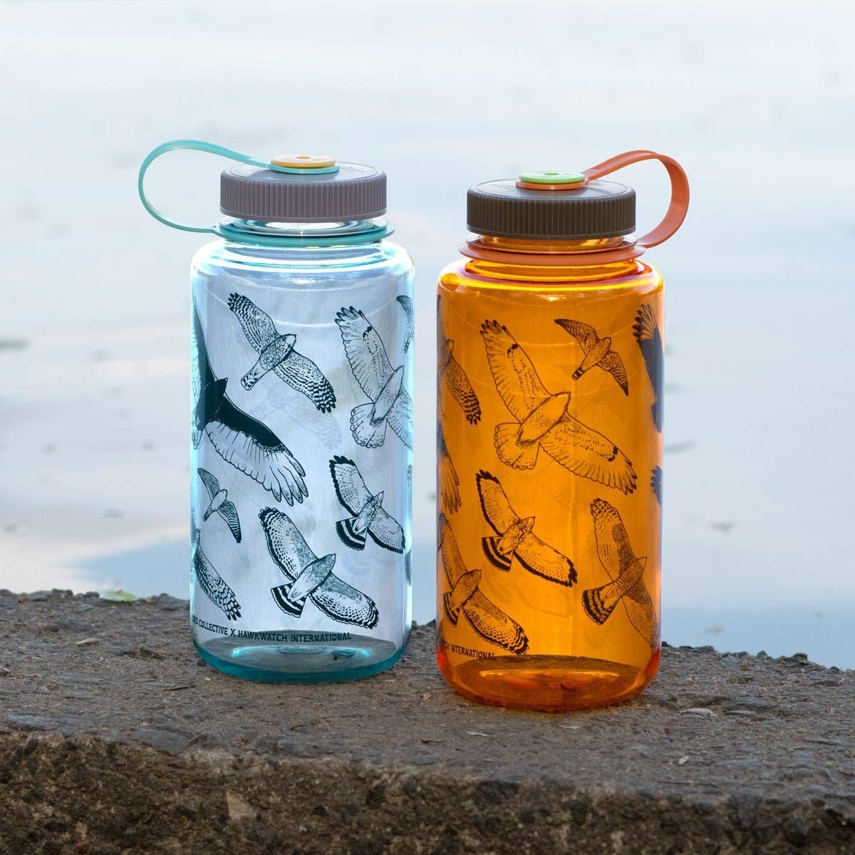 A photo of Hawks in Flight nalgene water bottle