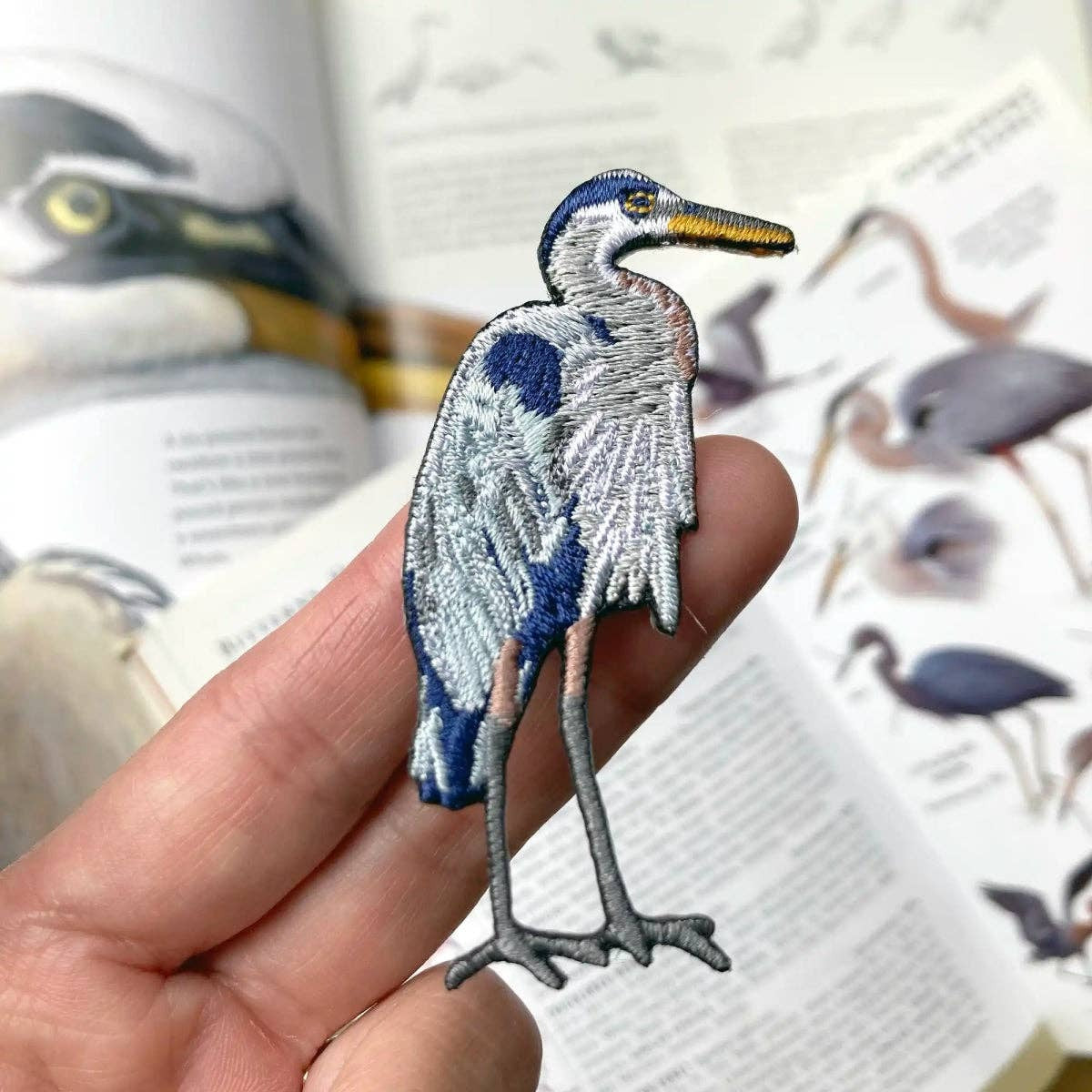 A photo of Great Blue Heron patch