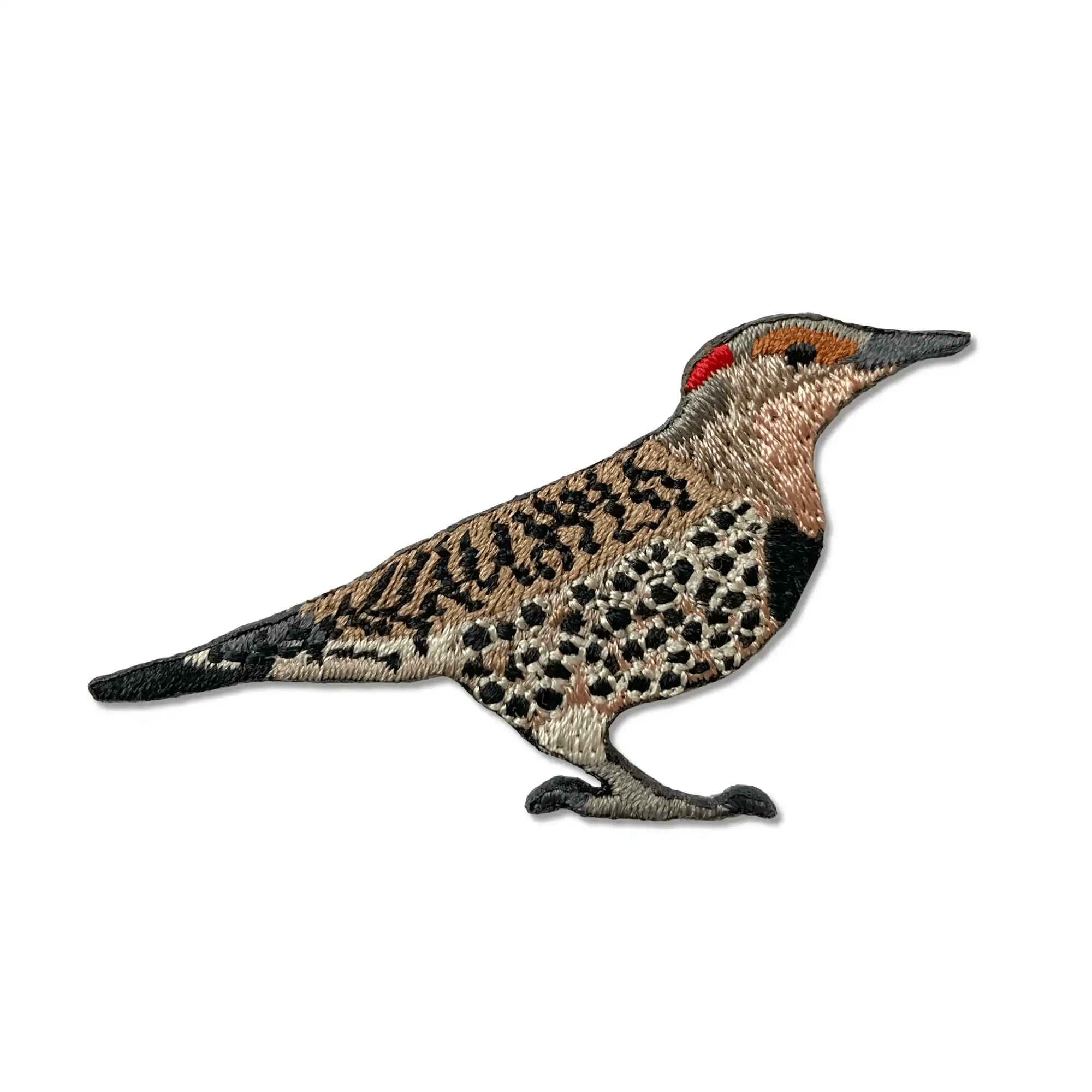 A photo of Northern Flicker patch