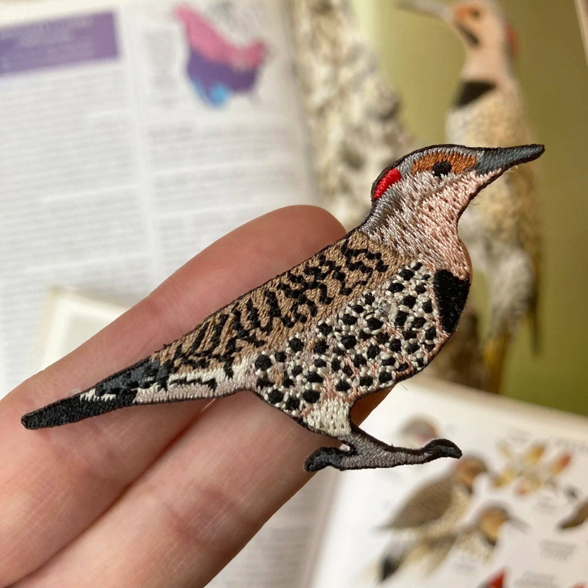 A photo of Northern Flicker patch