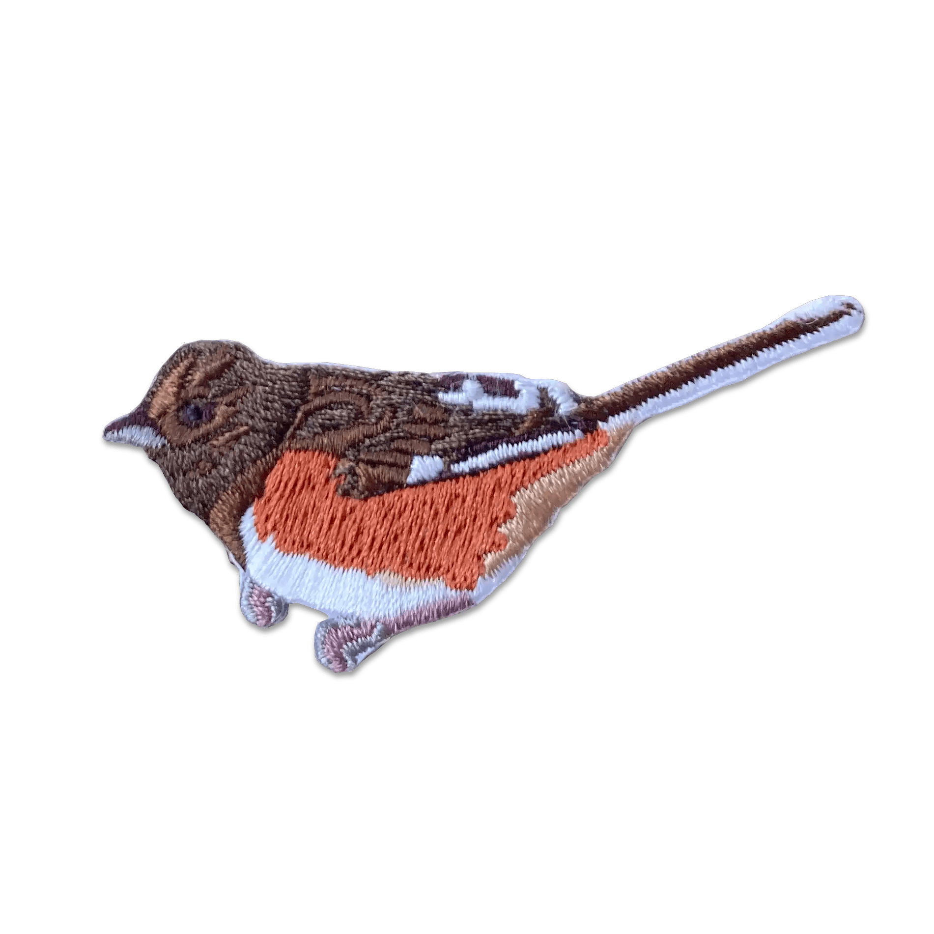 A photo of Eastern Towhee patch