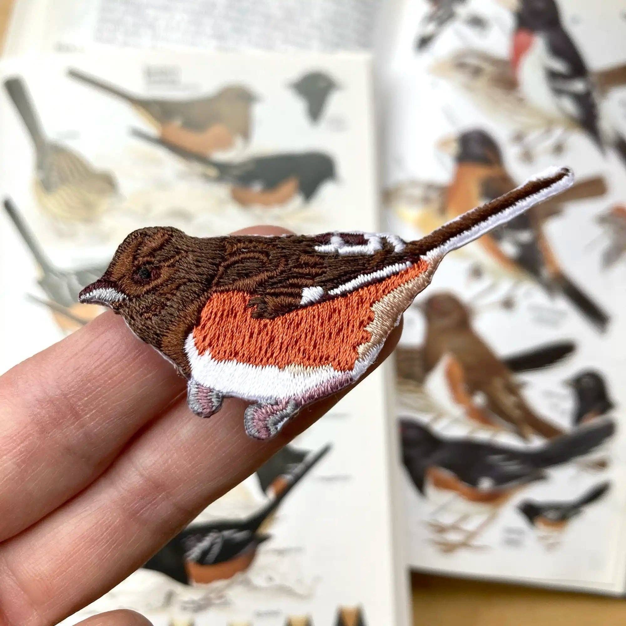 A photo of Eastern Towhee patch