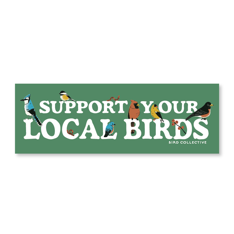 A photo of Backyard Birds bumper sticker
