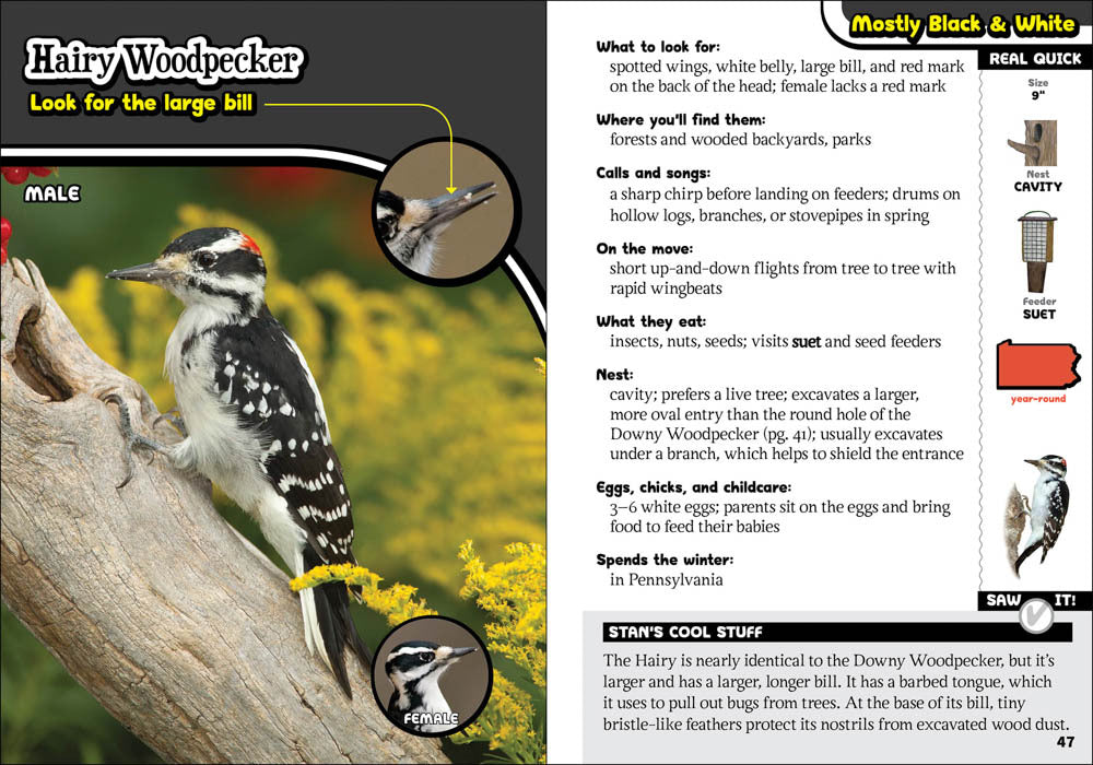 A photo of The Kids' Guide to Birds of Pennsylvania