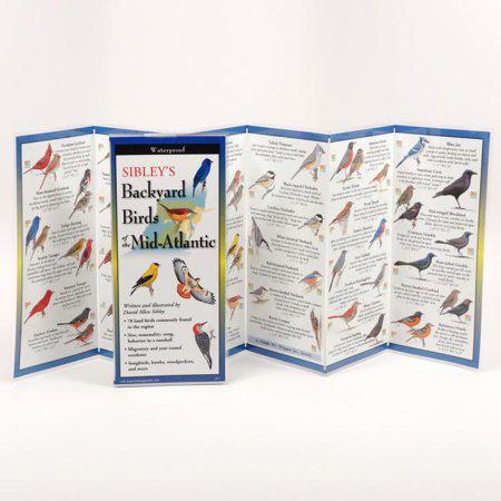 A photo of Sibley's Backyard Birds of Mid-Atlantic