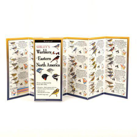 A photo of Sibley's Warblers of Eastern North America