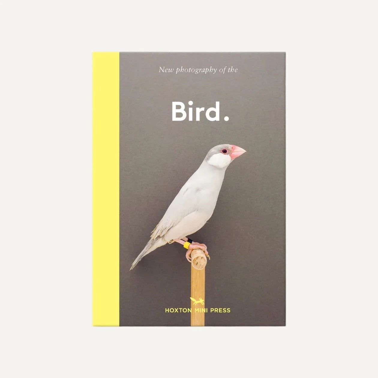 A photo of New Photography of the Bird