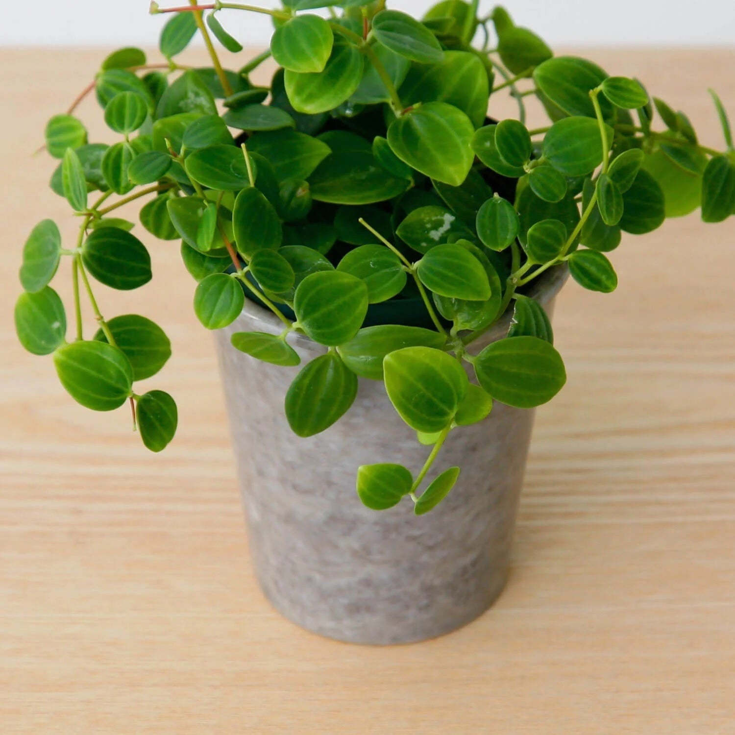 A photo of Marble pen stand