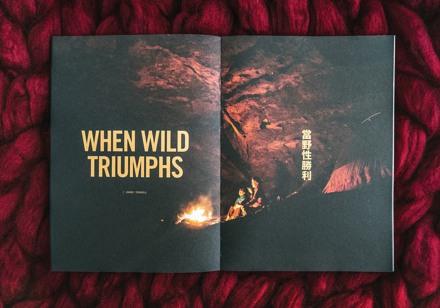 A photo of LOST Issue 10