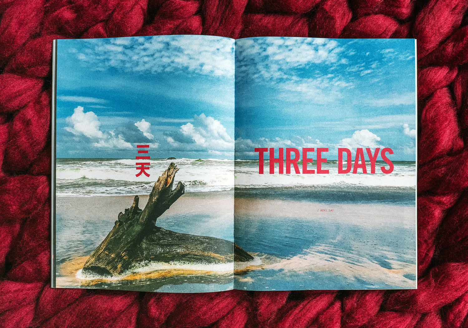A photo of LOST Issue 10