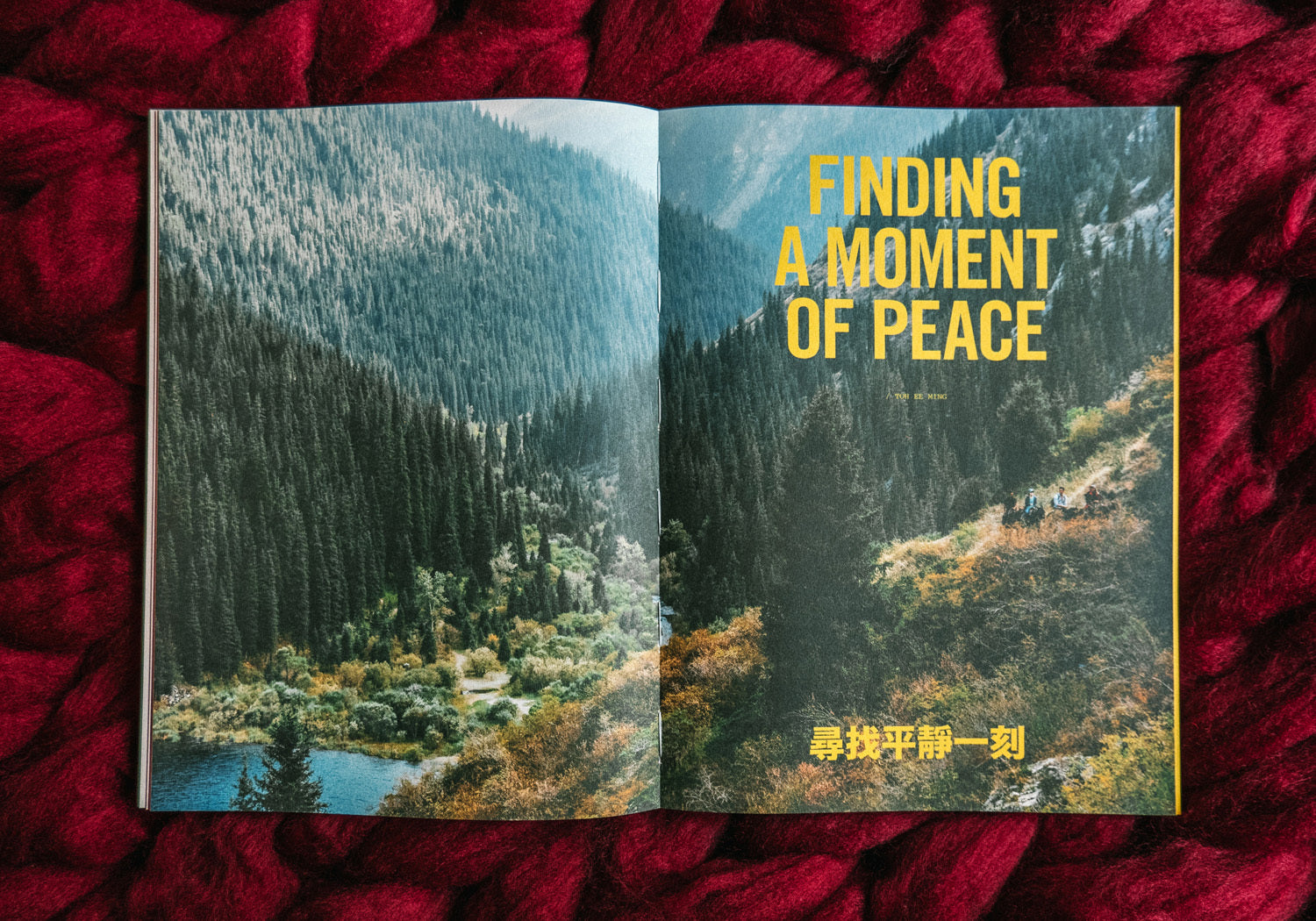 A photo of LOST Issue 10