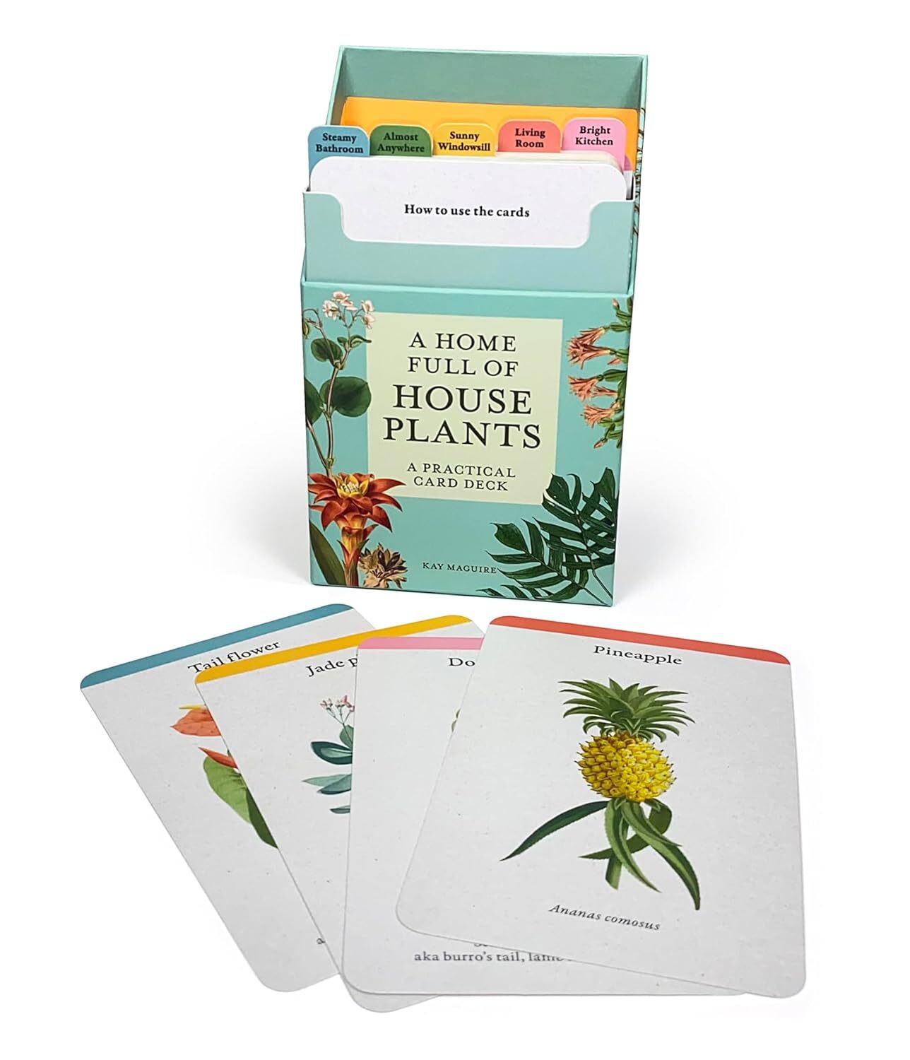 A photo of A Home Full of House Plants: A practical card deck