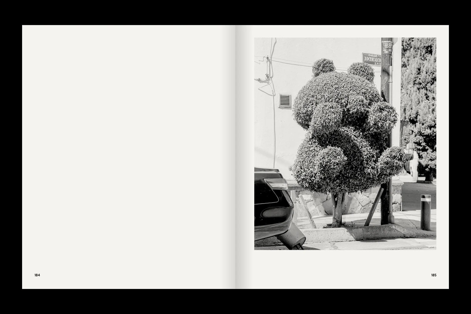 A photo of A Guide on Gardening